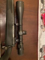 IMG_7213.jpeg