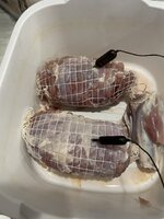 IMG_7050.jpeg