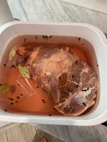 IMG_4503.jpeg