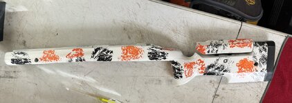 IMG_7804.jpeg