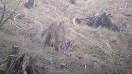 VideoCapture_20231114-134524.jpg