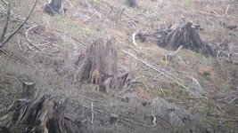 VideoCapture_20231114-134533.jpg