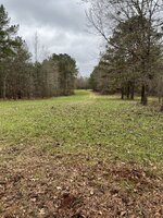 IMG_1143.jpeg