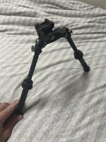 IMG_4782.jpeg