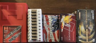 IMG_1923.jpeg