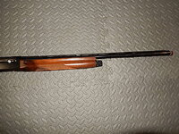 DSCN5546.JPG
