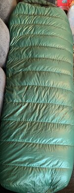 IMG_8731.jpeg