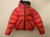 IMG_7501.jpeg