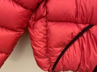 IMG_7503.jpeg