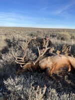 6274EEE5-C4C6-41DA-9795-17C7B275FE88.jpeg 6274EEE5-C4C6-41DA-9795-17C7B275FE88.jpeg