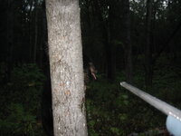 IMG_2627.JPG