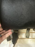 IMG_3317.jpeg