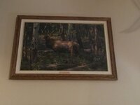IMG_0327.jpeg