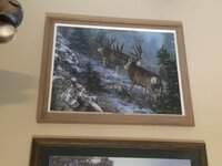 IMG_0328.jpeg