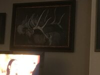 IMG_0325.jpeg