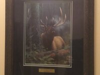 IMG_0329.jpeg