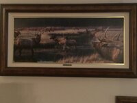 IMG_0330.jpeg