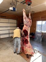 IMG_2550.jpeg
