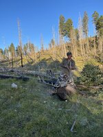 IMG_0398.JPEG