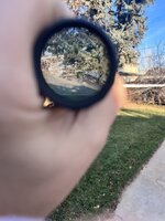IMG_6445.jpeg