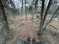 IMG_1089.jpeg