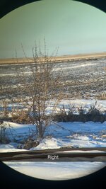 IMG_3967.jpeg