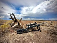 Rifle Antelope.jpg