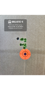 Ballistic-X-Export-2023-09-30 13_59_05.477713.png