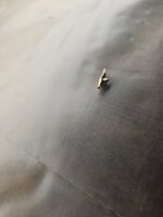 17032799421764806273689034087731.jpg