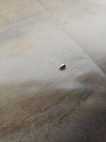 17032800721745286158033259329531.jpg