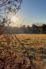IMG_2961.jpeg