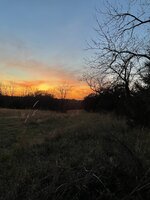 IMG_2972.jpeg