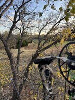 IMG_1069.jpeg