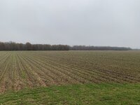 IMG_6256.jpeg