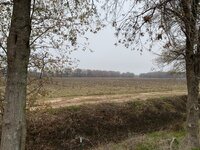 IMG_6255.jpeg