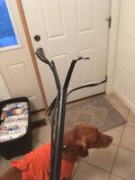 IMG_2018.jpeg