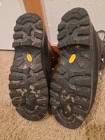 20231224_081324.jpg