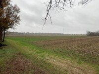 IMG_6261.jpeg