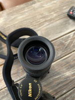 IMG_3580.jpeg