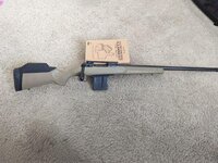 IMG_9452.jpeg