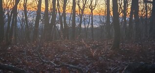 20231123_070345.jpg