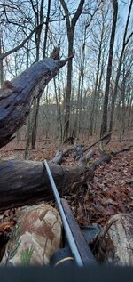 20231123_080123.jpg