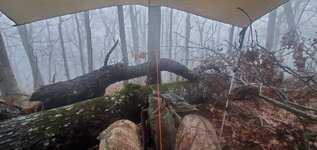 20221125_092506.jpg