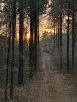 IMG_0968.jpeg