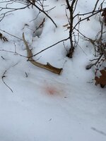 IMG_1745.jpeg
