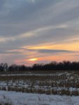 IMG_2490.JPG