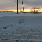 IMG_2512.JPG