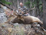 2018 Bull Archery.JPG
