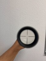 IMG_4564.jpeg