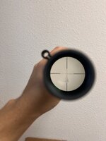 IMG_4574.jpeg